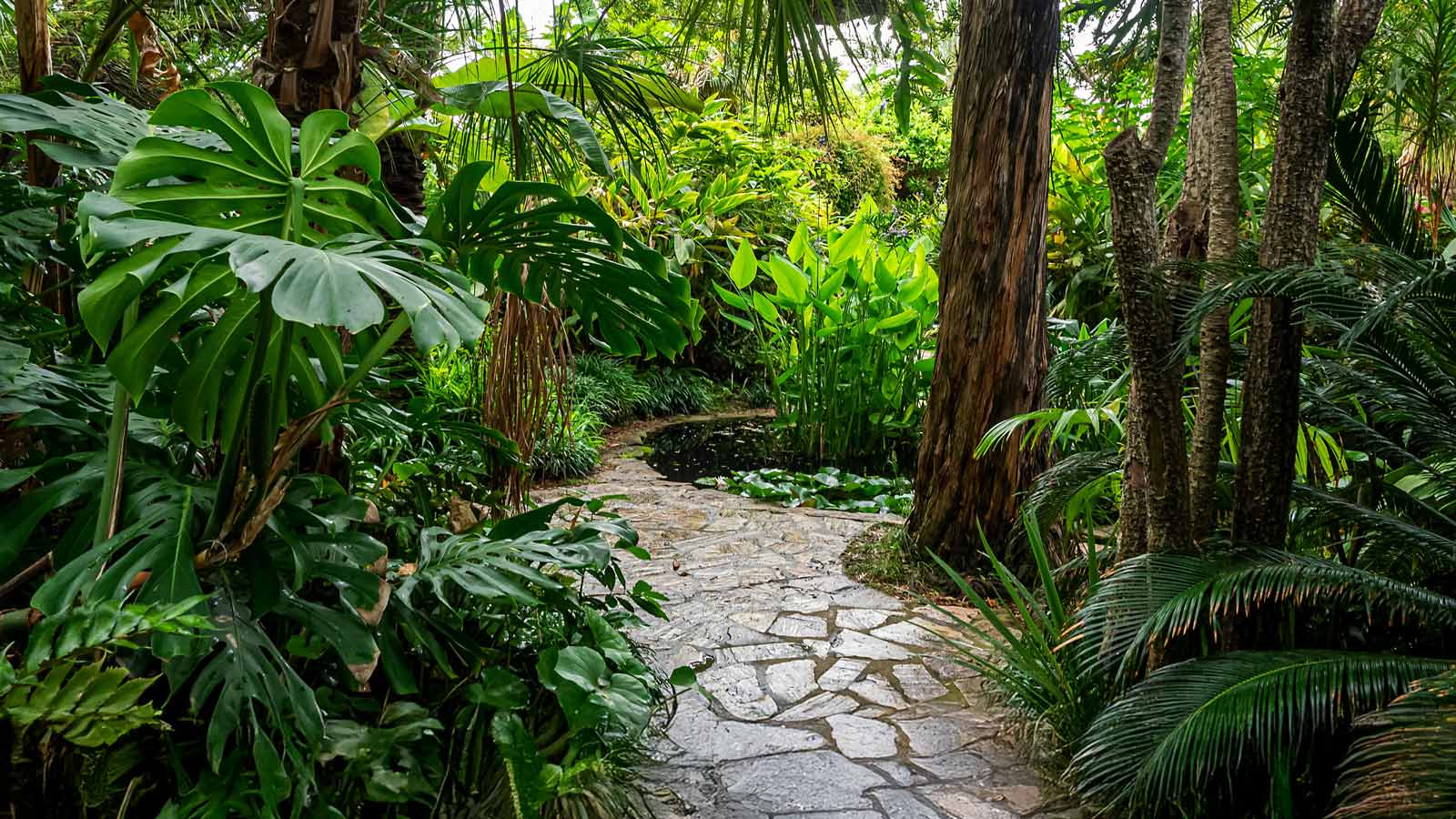 Le jardin Tropical Pinya de Rosa à Blanes